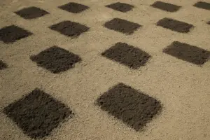 Preparazione Terreno per Tappeto Erboso: Guida Pratica Passo per Passo