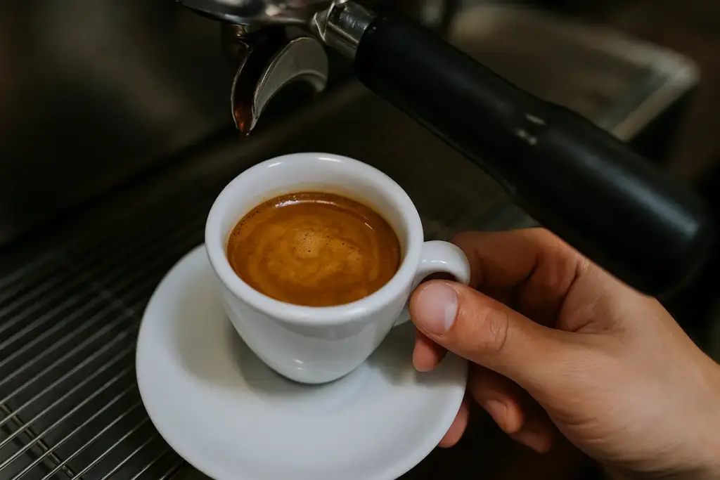 Come si riconosce un espresso perfetto? I segnali che il barista non ti svela mai
